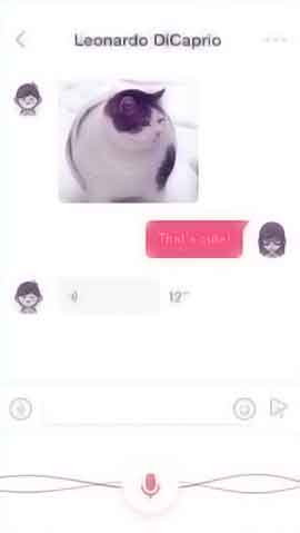 ddos攻击测试工具软件程序维护界面